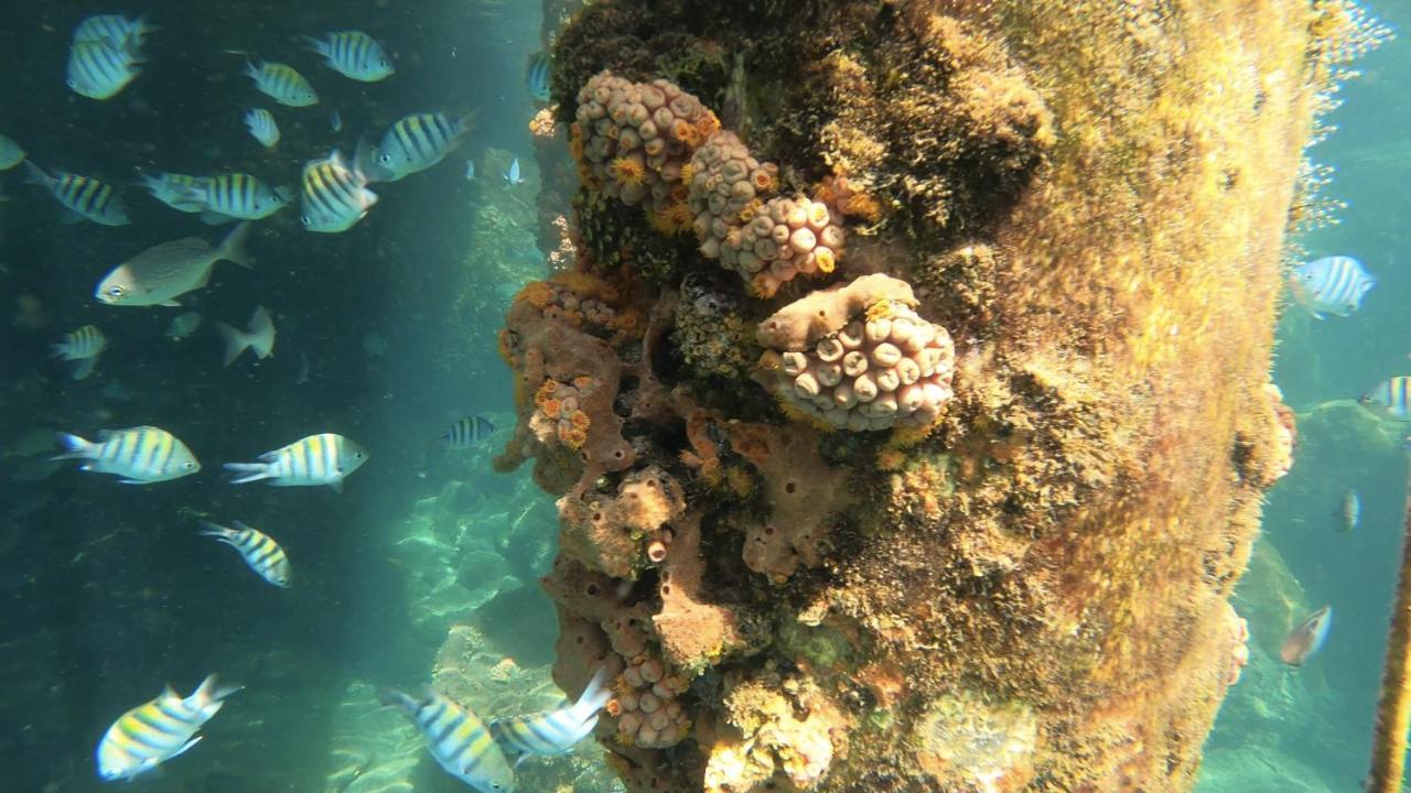 Pousada Conves - Ilha Grande Praia de Araçatiba Exteriör bild
