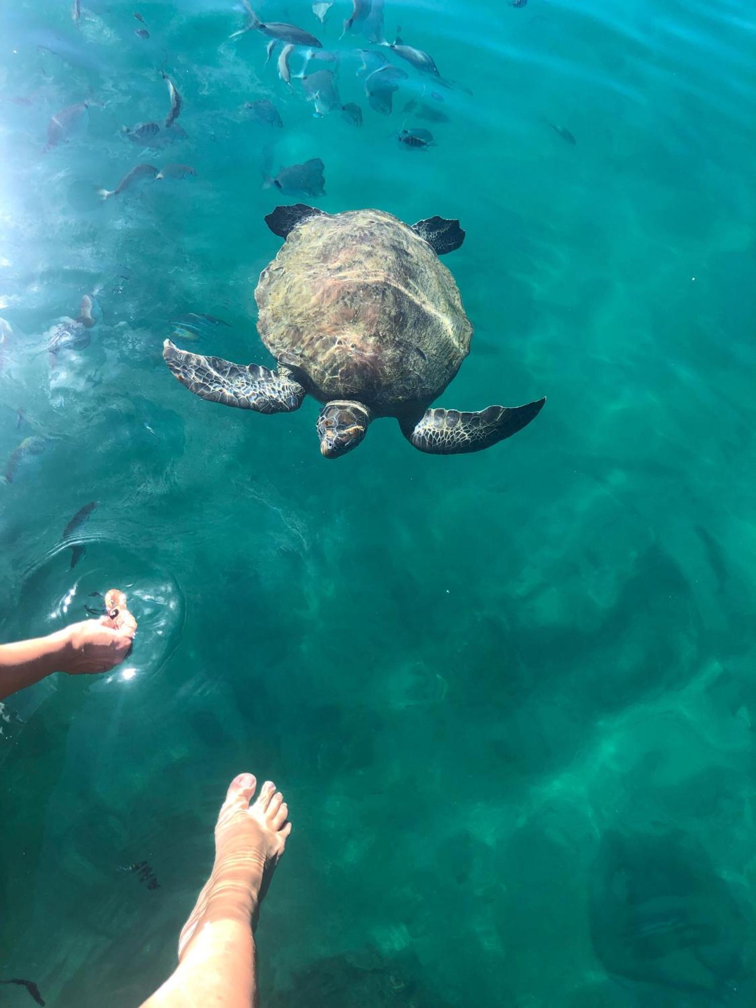 Pousada Conves - Ilha Grande Praia de Araçatiba Exteriör bild